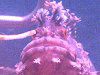 �t�T�M���|(�[���)