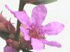 �~�\�n�M(�S��)