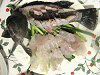 ���o��(�h���g)