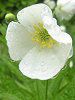 �t�^�}�^�C�`�Q(��҈��)