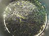 �`���i���j