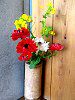�g�C���̐؂��