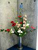 �A�l���l(Anemone)
