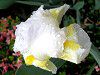 �h�C�c�A����