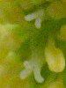 �h�N�_�~23