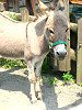 ���o�i醔n�j41