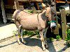 ���o�i醔n�j42