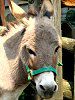 ���o�i醔n�j43
