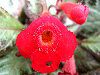 �G�s�X�L�A�iEpiscia�j