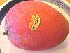 �}���S�[�imango�j