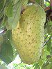 �g�Q�o�����C�V�i����䫎}�j