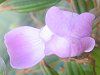 �m�{�^���E���g���G���W�F��2