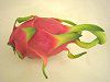 �s�^��(Pitaya)