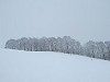 ���X�i����Ђ傤�j