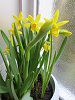 �~�j����Tete a tete