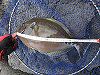 �T���m�W4