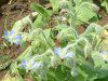 8���̉�#3(2003�N)
