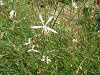 8���̉�#3(2003�N)