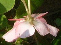 8���̉�#3(2003�N)