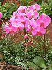 �R�`���E����(�Ӓ���)
