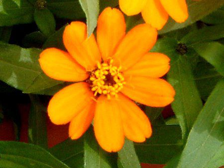 �W�j�A�v���t���[�W����