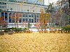 �C�`���E�i�������j