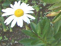 �n�}�M�N(�l�e)