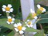 �n�L�_���M�N�i�|���e�j