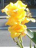 �A�Q�n�`���E