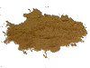 11���̉ԂƃJ���[��(Curry Powder)