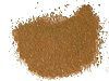 11���̉ԂƃJ���[��(Curry Powder)