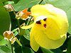 �n�E�iHau�j�A�I�I�n�}�{�E�i��l�p�j