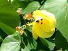 �n�E�iHau�j�A�I�I�n�}�{�E�i��l�p�j