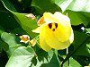 �n�E�iHau�j�A�I�I�n�}�{�E�i��l�p�j