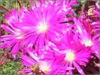 �}�c�o�M�N�i���t�e�j