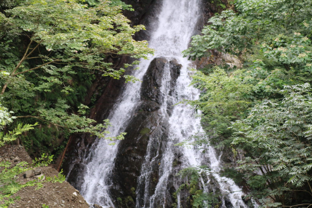 大沢の滝