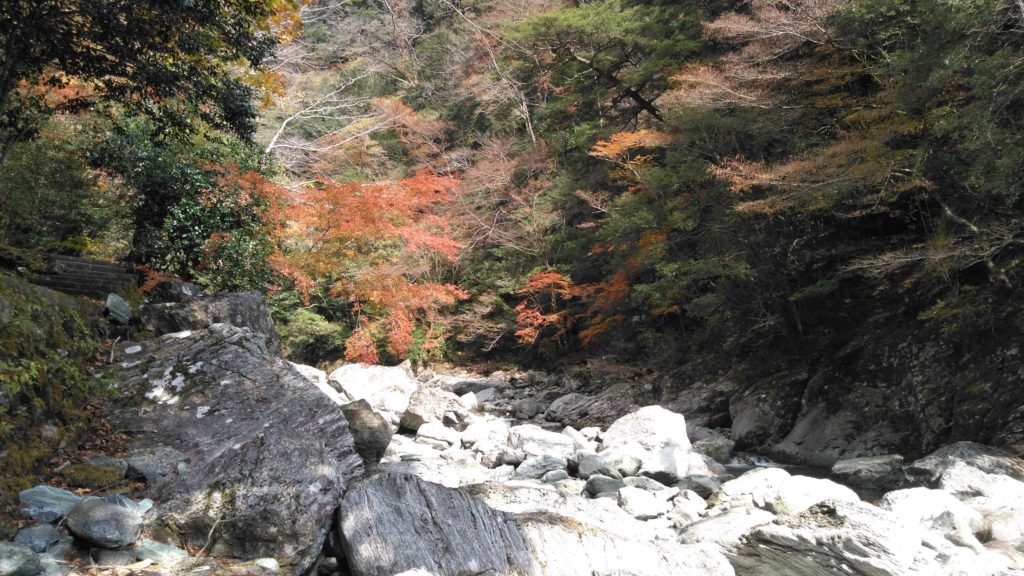 高知県安居渓谷の紅葉（2021年11月）