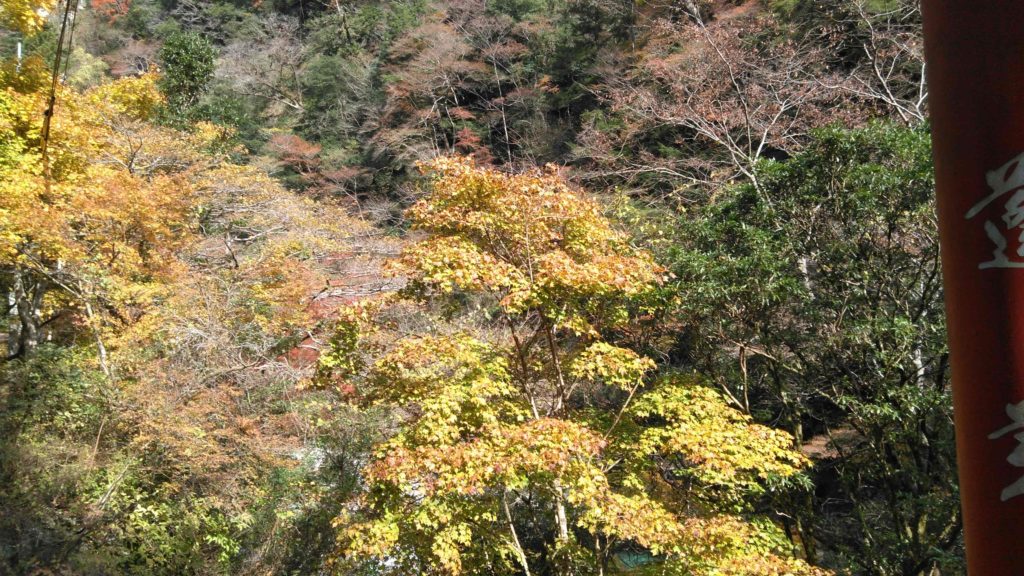 高知県安居渓谷の紅葉（2021年11月）