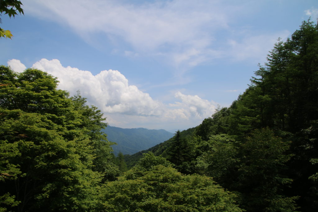 雲隠れにし初夏の富士山