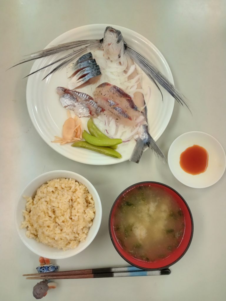 トビウオの刺身、しめ鯖、お味噌汁、ごはん