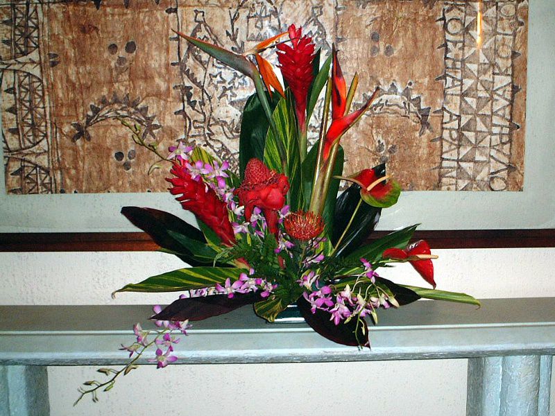 AsjAEvv^(Alpinia purpurata)200/8/11