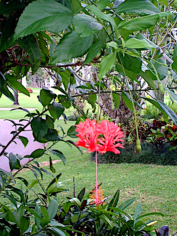 �t�E�����u�b�\�E�Q(���镧�K��)