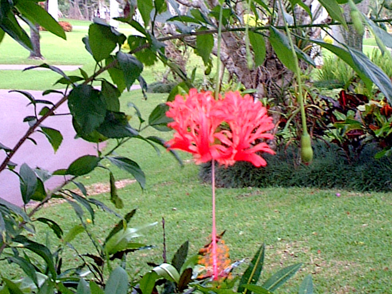 �t�E�����u�b�\�E�Q(���镧�K��)