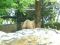 S[f^[LiGolden takinj