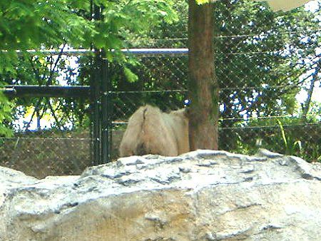 S[f^[LiGolden takinj