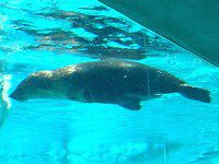 ~i~AtJIbgZCiAtJIbgZC