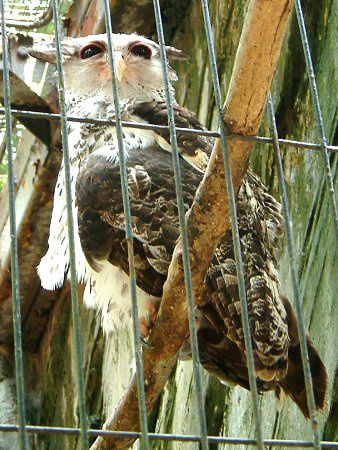 lp[V~~YNiNepalh~~YNj