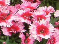 fBAcX@`lVXiZL`Nj 'IG^J[ybg'