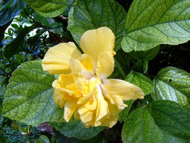 nCrXJX '~ZX WF[X wh['