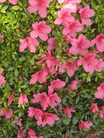 ��u-�T�c�L�i�H���j